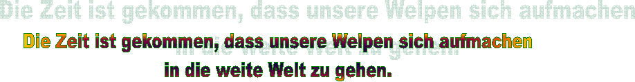 Die Zeit ist gekommen, dass unsere Welpen sich aufmachen
in die weite Welt zu gehen.